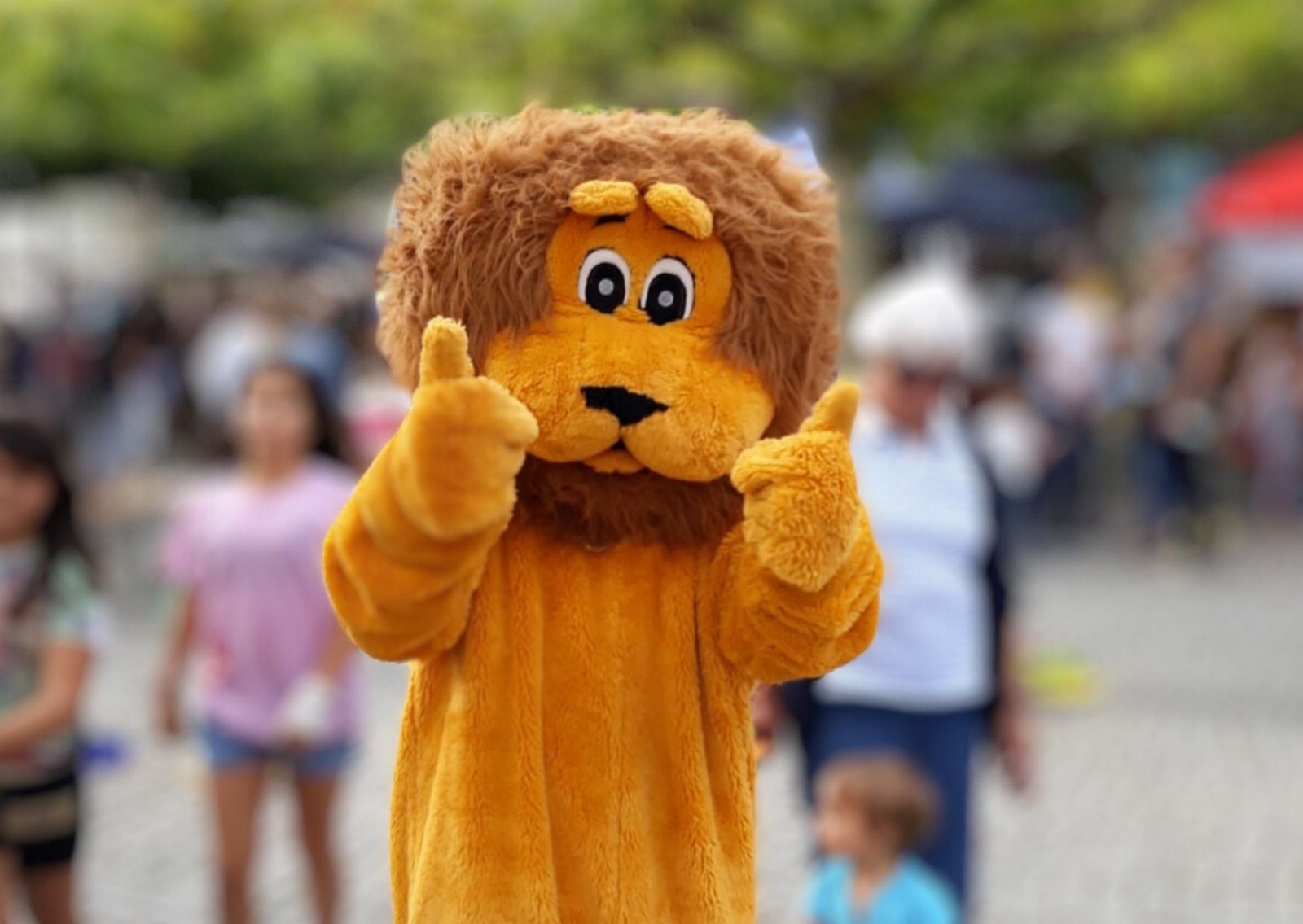 Bild von Löwenkostüm Leo Maskottchen